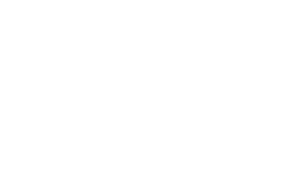 Ants Tattoo